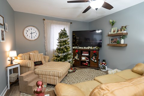 A living room with a Christmas tree and a flat screen TV.