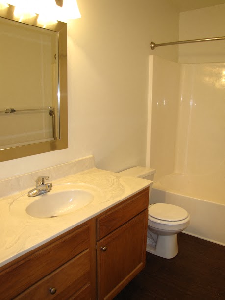 a bathroom with a sink toilet and a mirror
