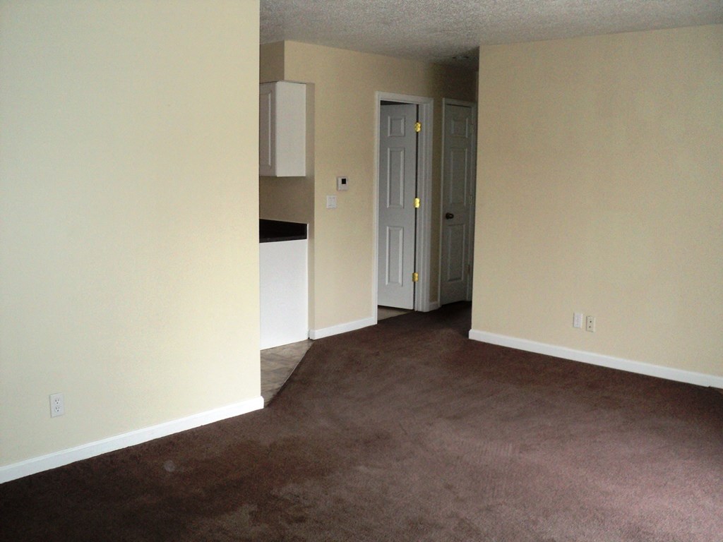 A room with a brown carpet and a white door.