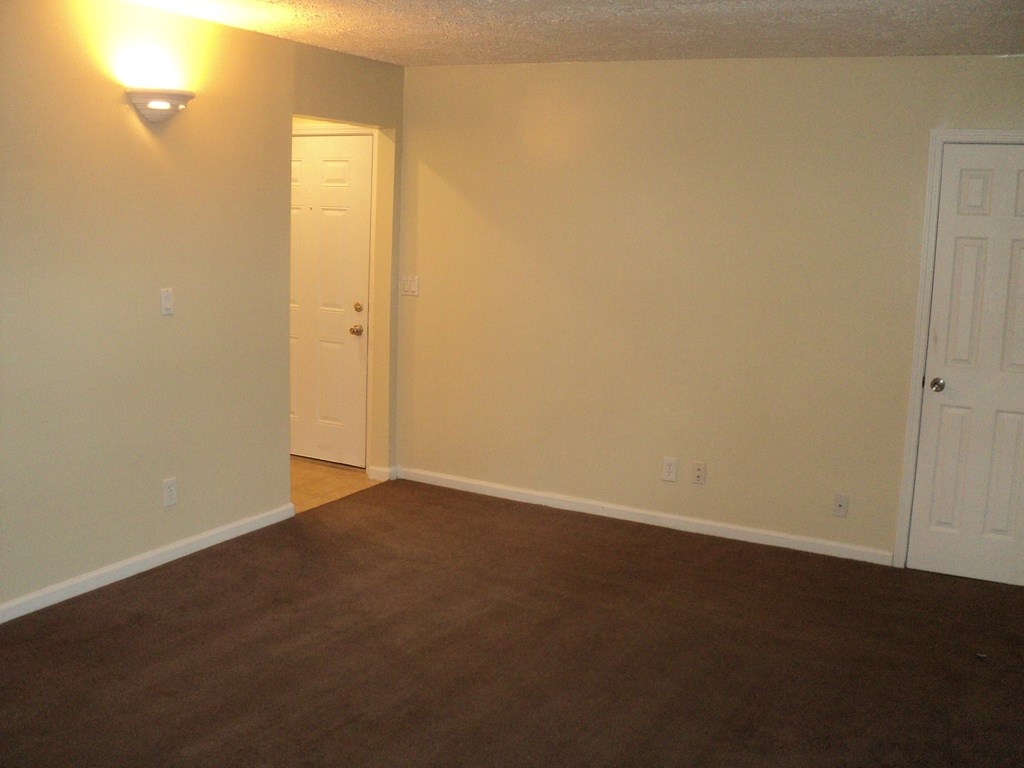 A room with a brown carpet and two white doors.