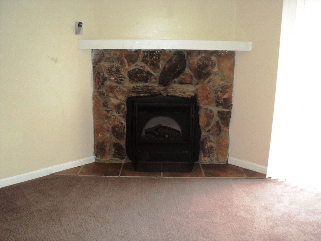 A fireplace with a black fireplace insert and a stone surround.