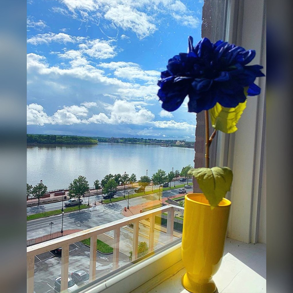 a yellow vase with a blue flower on a window sill