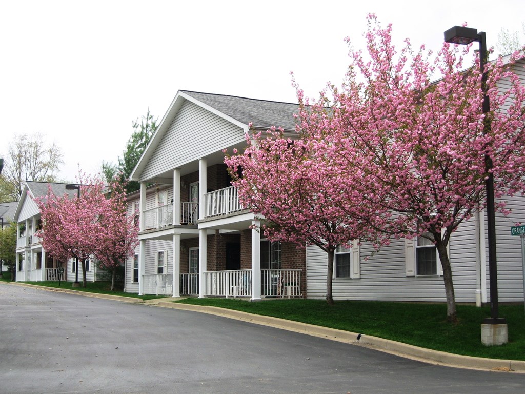 the apartments are equipped with flowering trees in the front yard