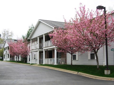 the apartments are equipped with flowering trees in the front yard