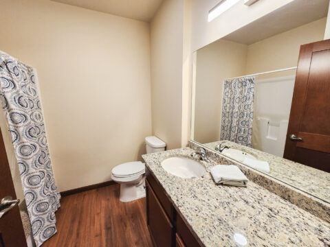 A bathroom with a toilet, sink, and shower curtain.