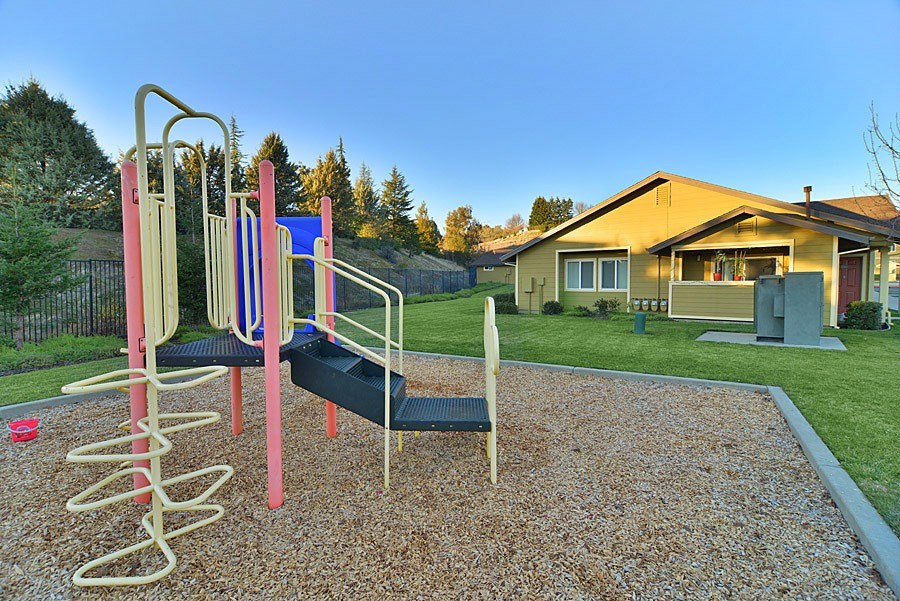 A playground with a slide and monkey bars.