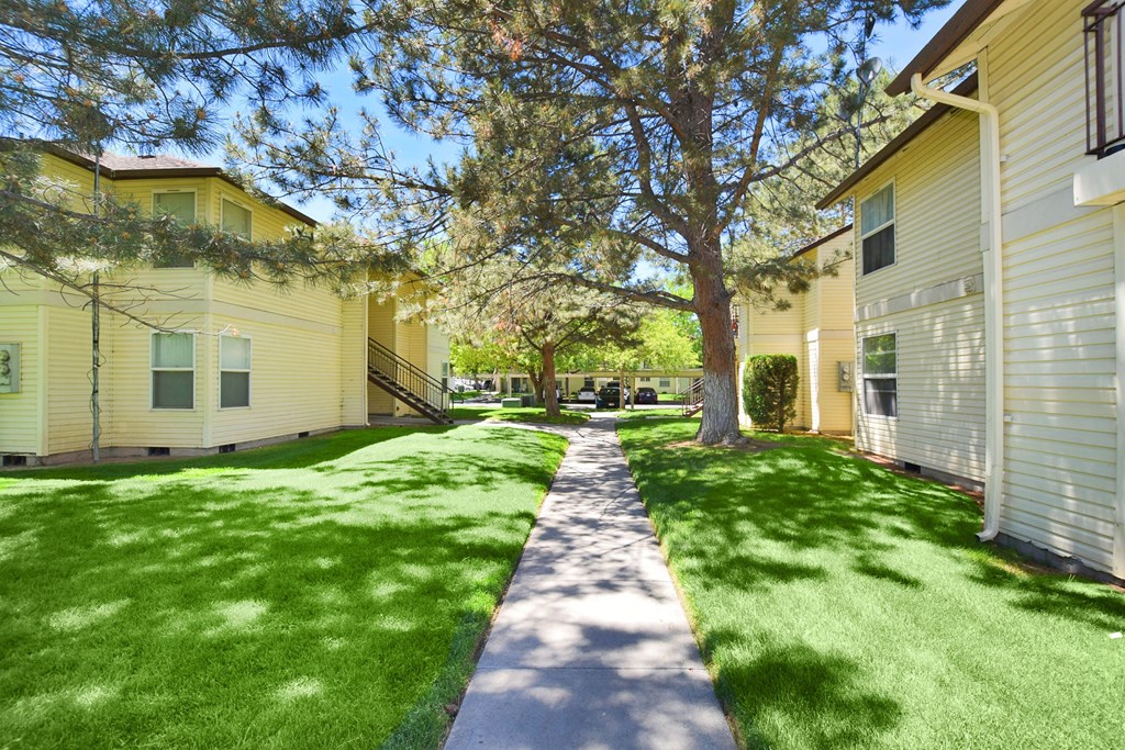 A sunny day at a residential area with a pathway and green grass.