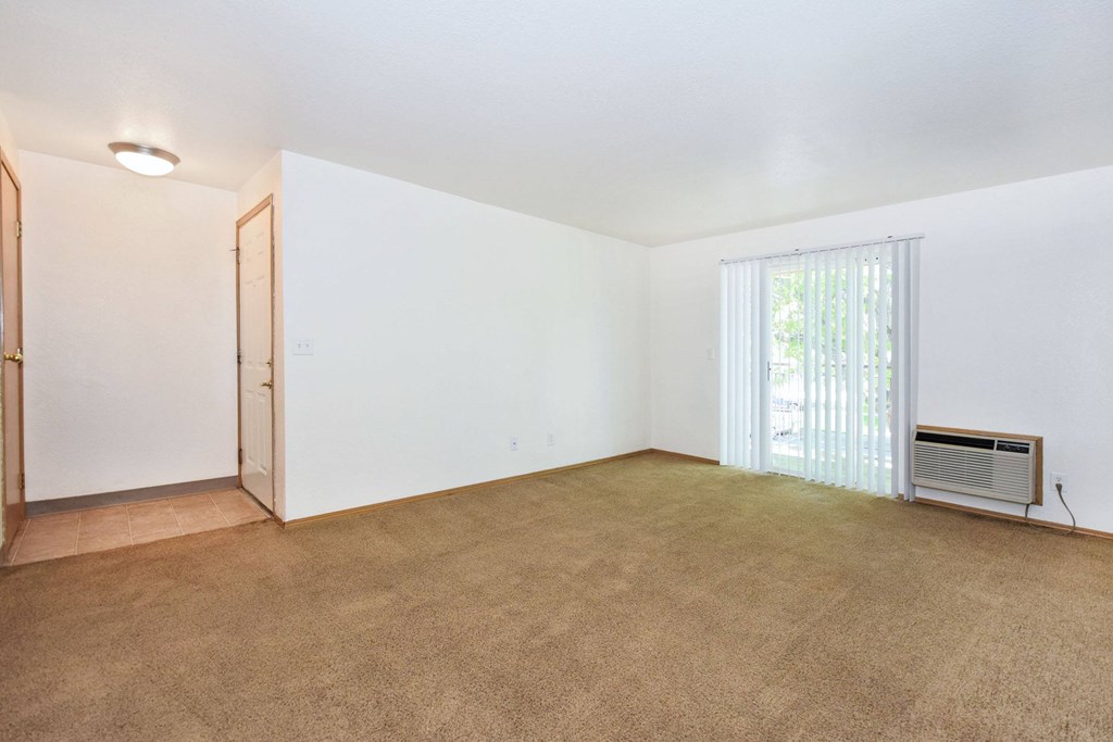 A room with a carpeted floor and a window with blinds.