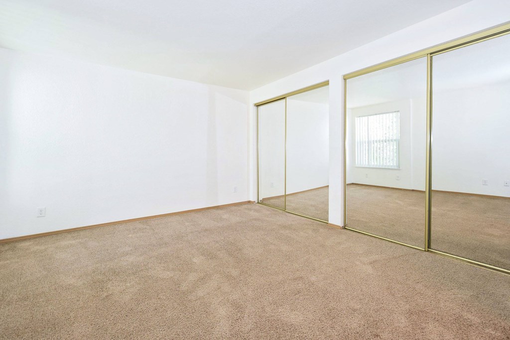 A room with a carpeted floor and a glass door.