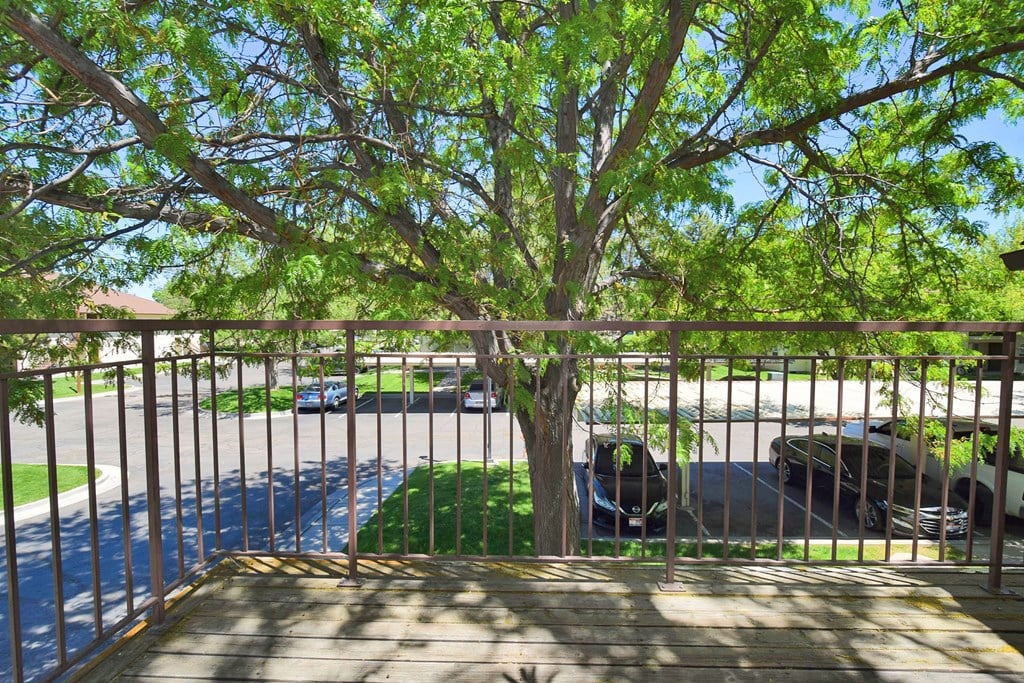 A tree in a yard behind a fence.