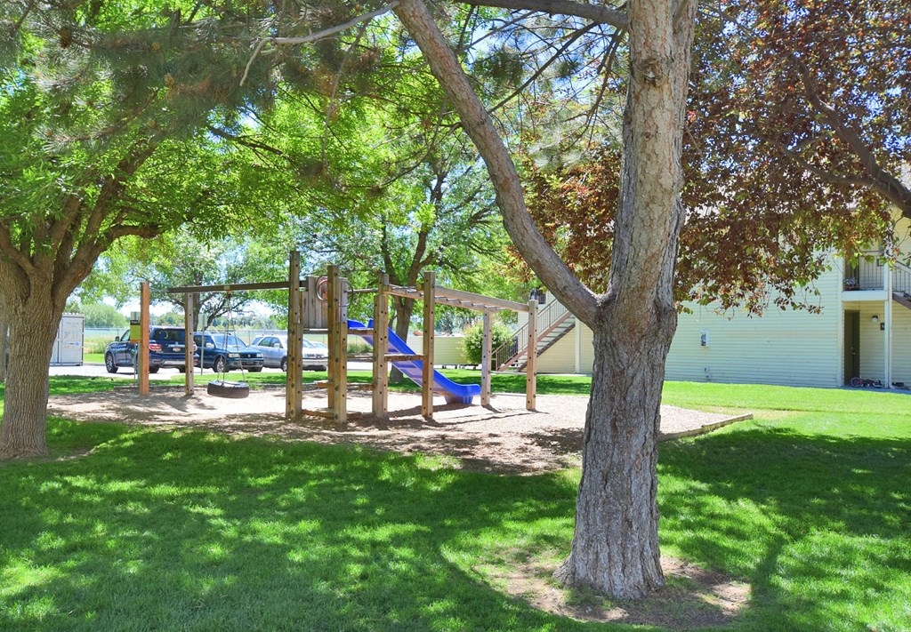 A playground with a slide and swings is surrounded by trees.