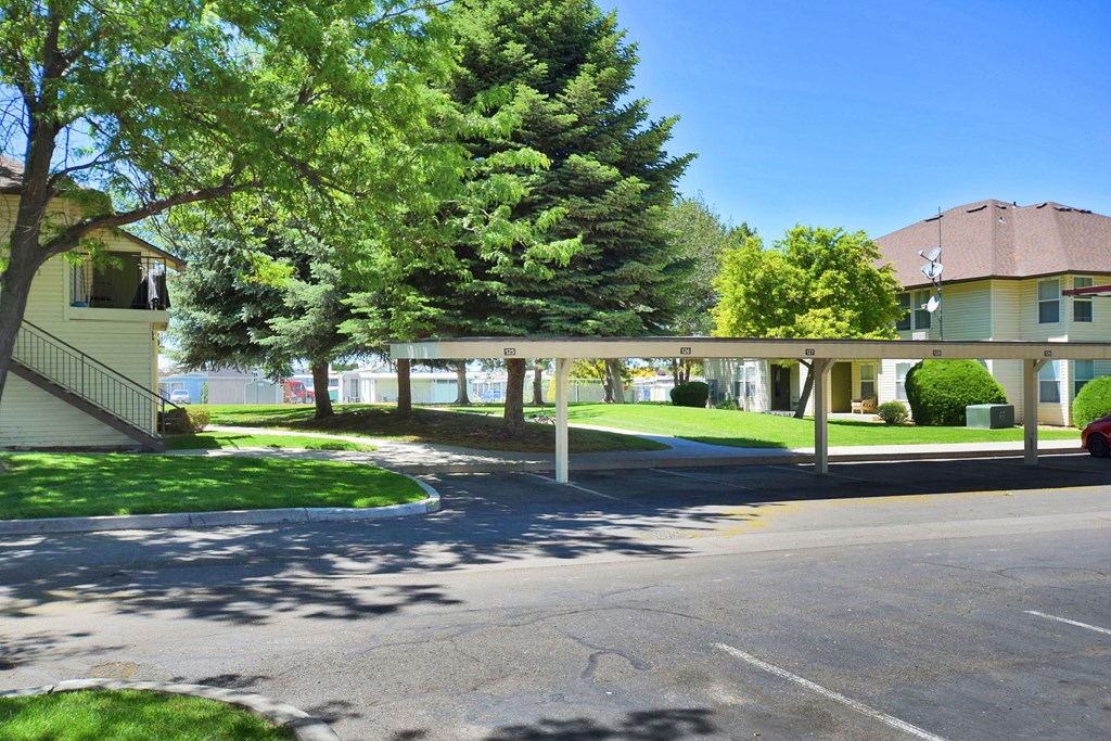 A tree-lined street with a yellow house and a white building in the background.