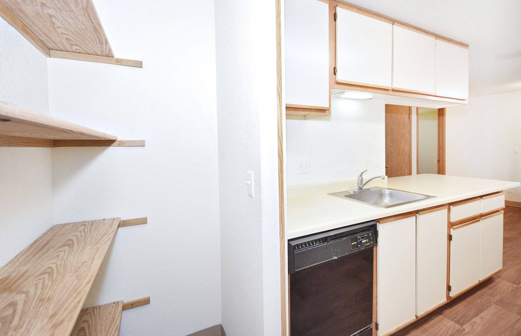 A kitchen with a dishwasher and a sink.