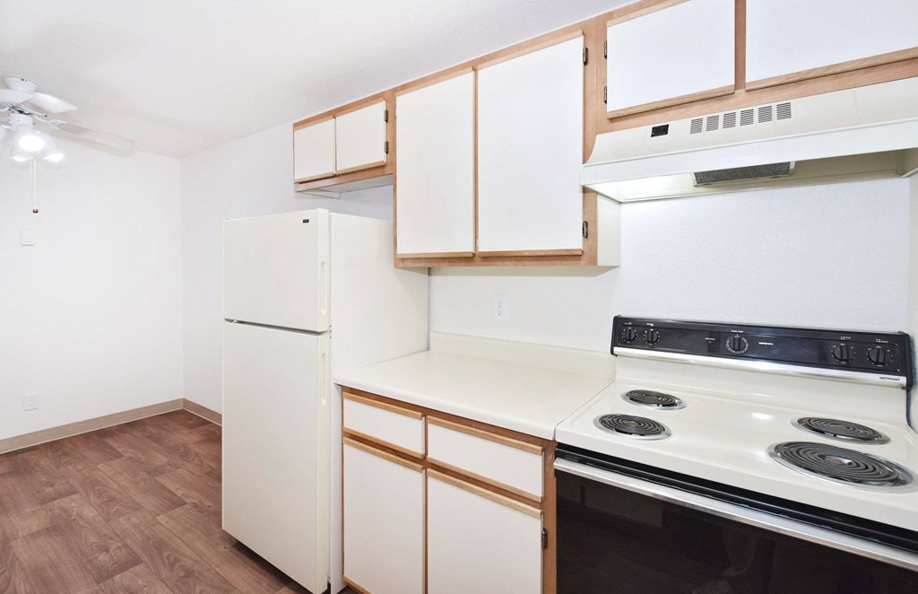 A kitchen with a stove and a refrigerator.