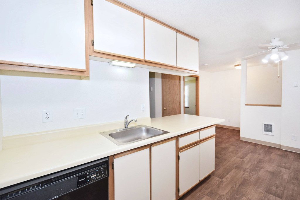 A kitchen with a sink and a dishwasher.