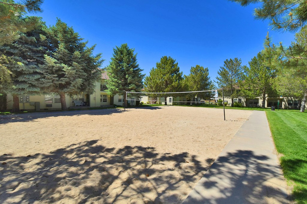 A sandy area with trees and a fence in the background.