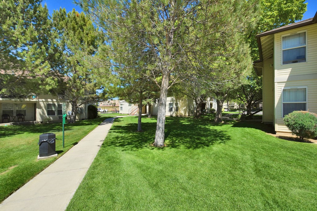 A tree in a grassy area in front of a building.
