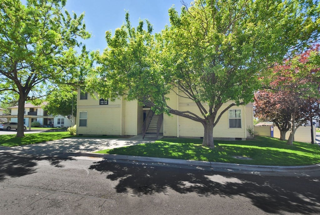 A tree in front of a house.