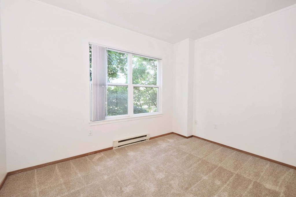 A room with a window and a carpeted floor.