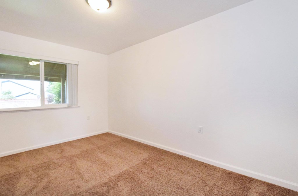 A room with a carpeted floor and a window.