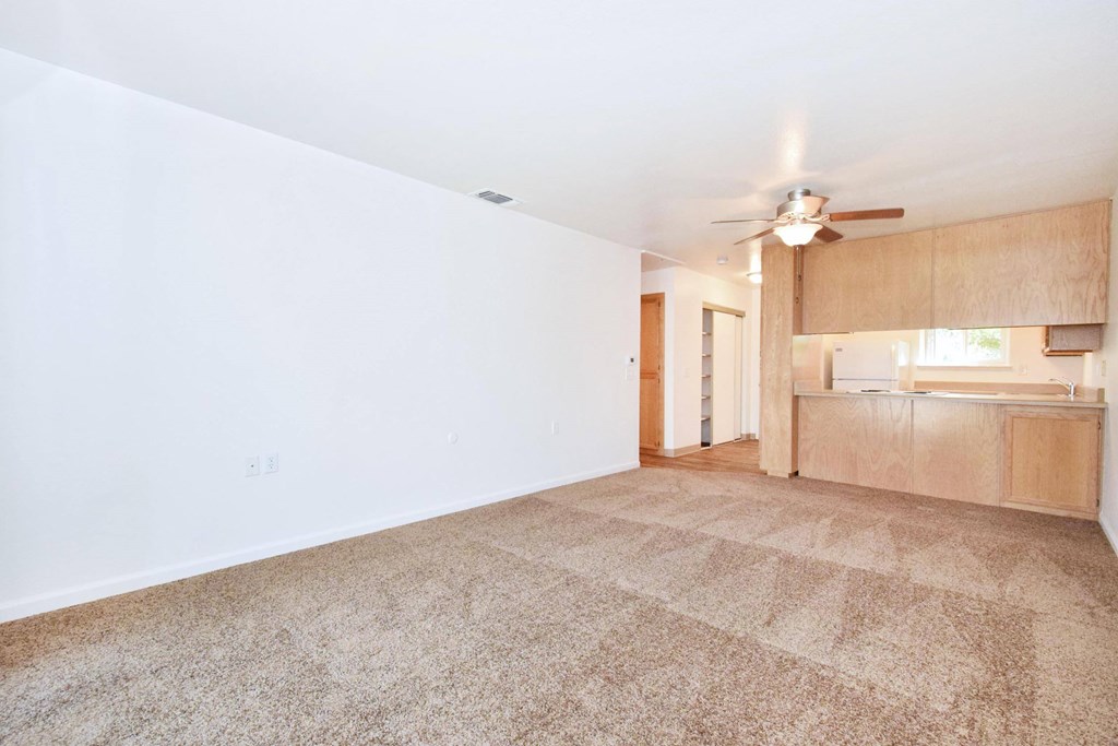 A room with a carpeted floor and a ceiling fan.
