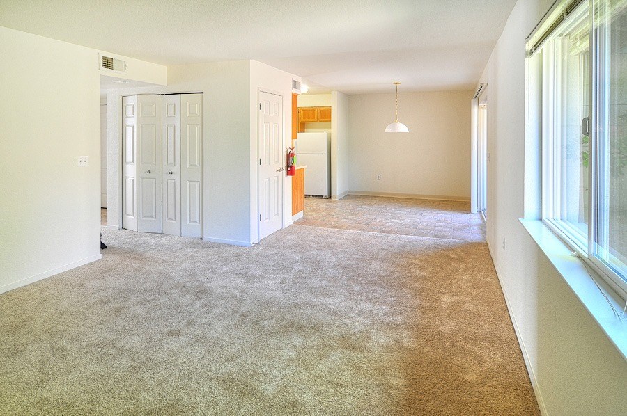 A carpeted room with a door and a window.