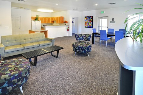 A living room with a grey carpet and a grey couch.