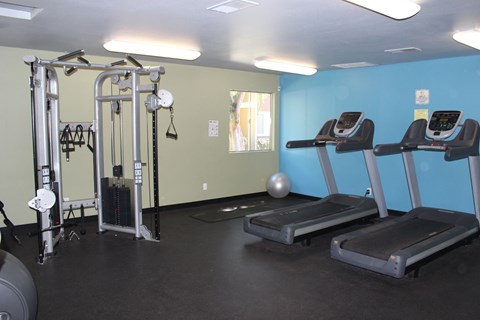 A gym with treadmills and a weight machine.