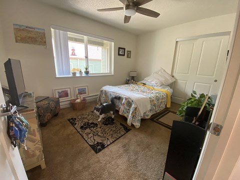 A bedroom with a bed, a fan, and a dog.