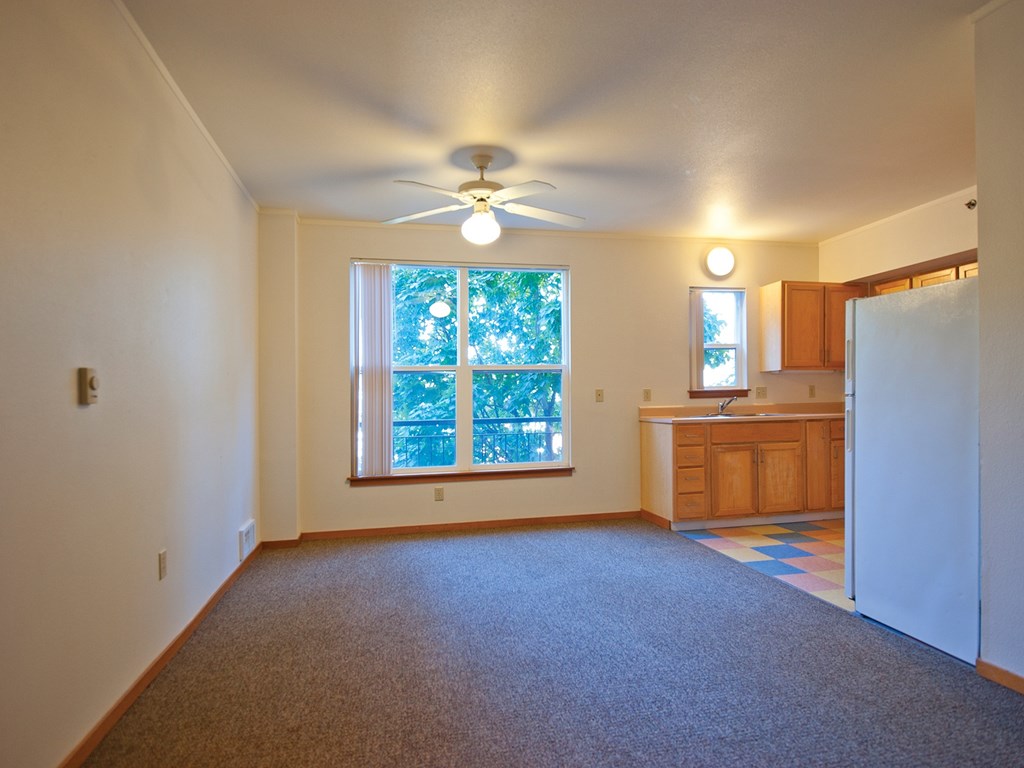 A room with a ceiling fan and a window with trees visible outside.