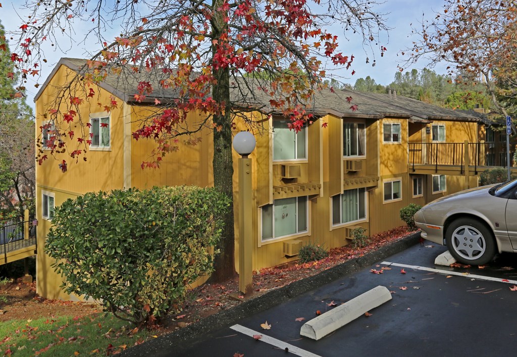A yellow building with a tree in front of it.
