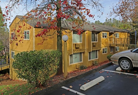 A yellow building with a tree in front of it.