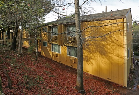 A yellow building with a tree in front of it.