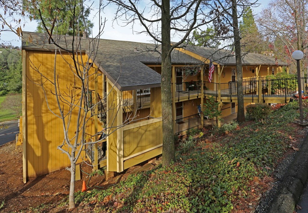 A yellow building with a black roof and a tree in front of it.