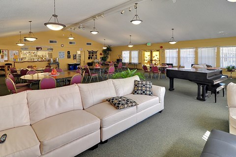 A living room with a white couch and a black piano.