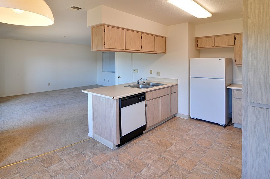 A kitchen with a white fridge and a white dishwasher.