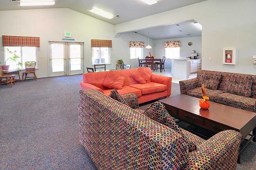 A living room with a patterned couch and a red couch.