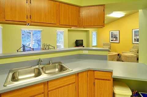 A kitchen with a sink and wooden cabinets.