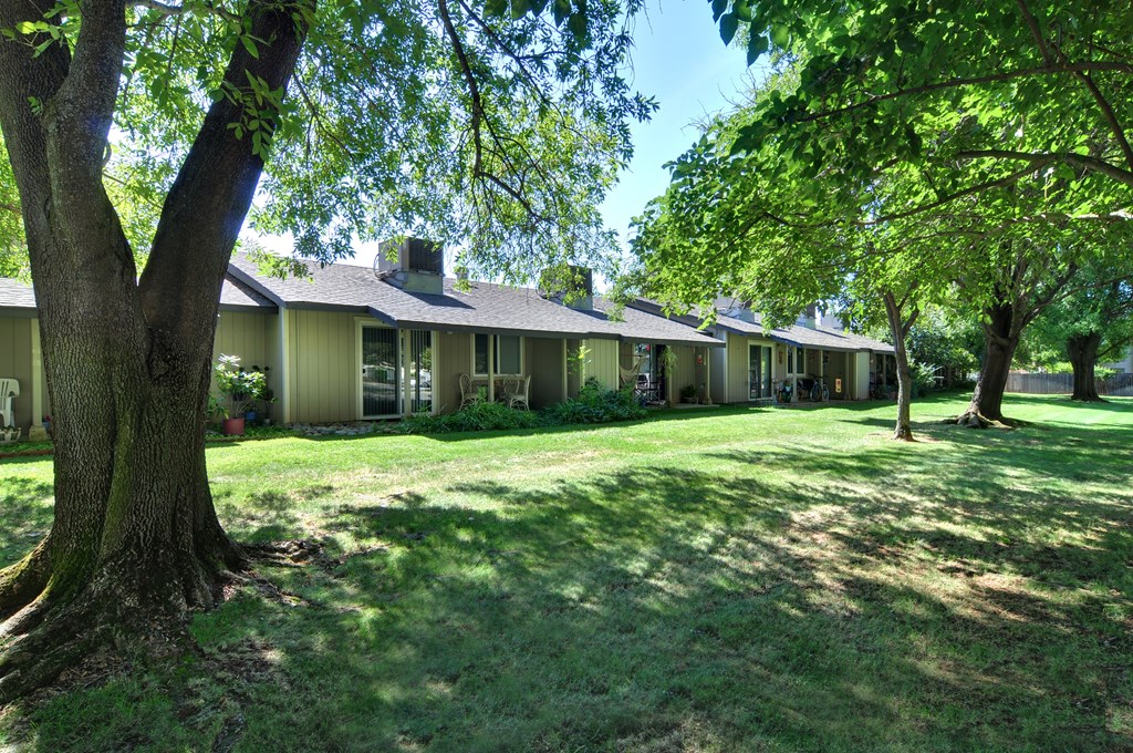 A row of houses with trees in front.
