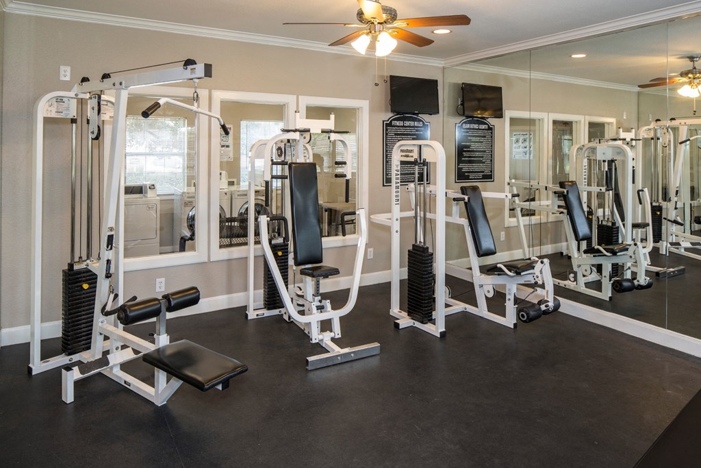 A gym with a variety of equipment including a squat rack, bench press, and a mirror.