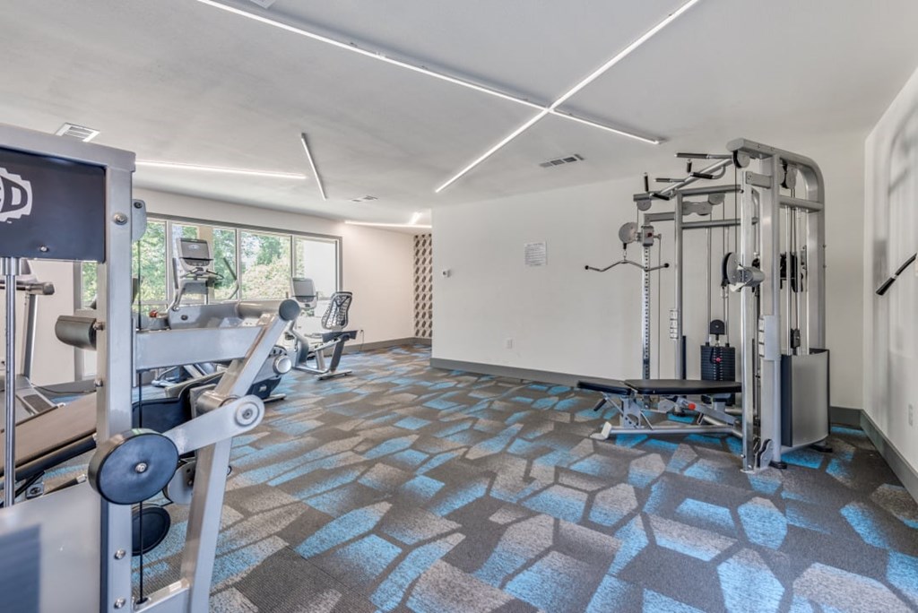 A gym with a variety of equipment including a squat rack, a bench press, and a leg press machine at Infinity on the Oaks Apartments, Texas, 75231