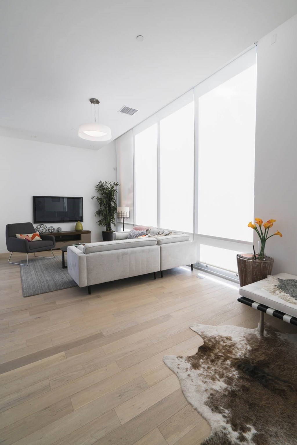 Spacious Living Area at The Geffen, Los Angeles, CA