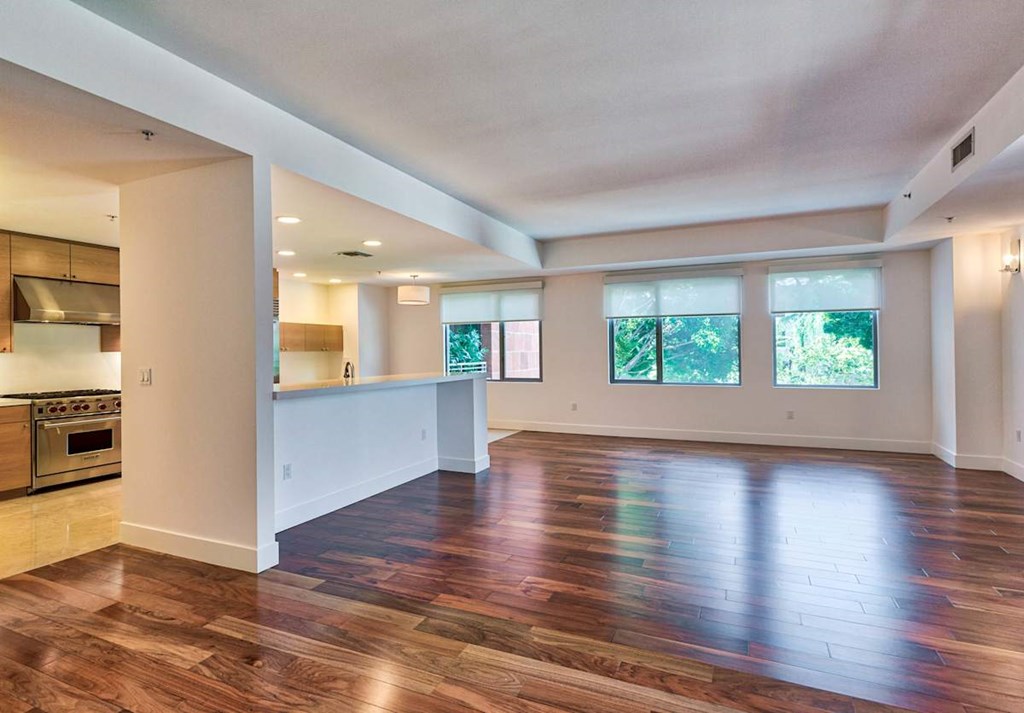 Unfurnished Living Area at Catania, Pasadena