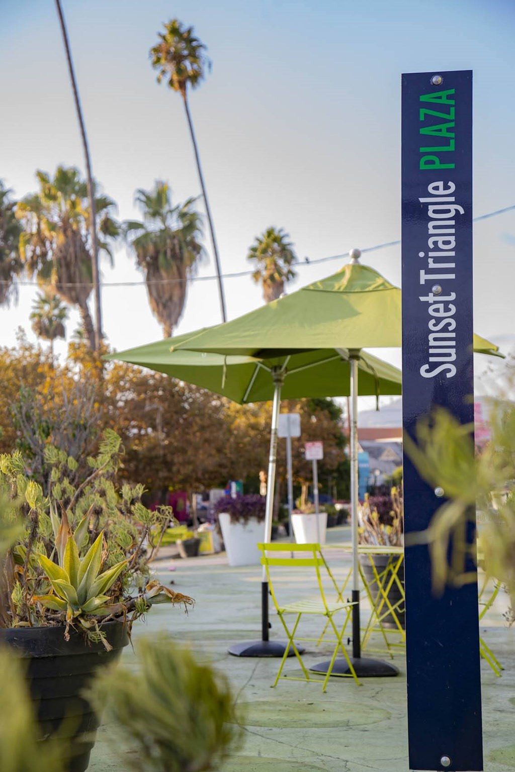 Outdoor Patio at Junction 4121, California