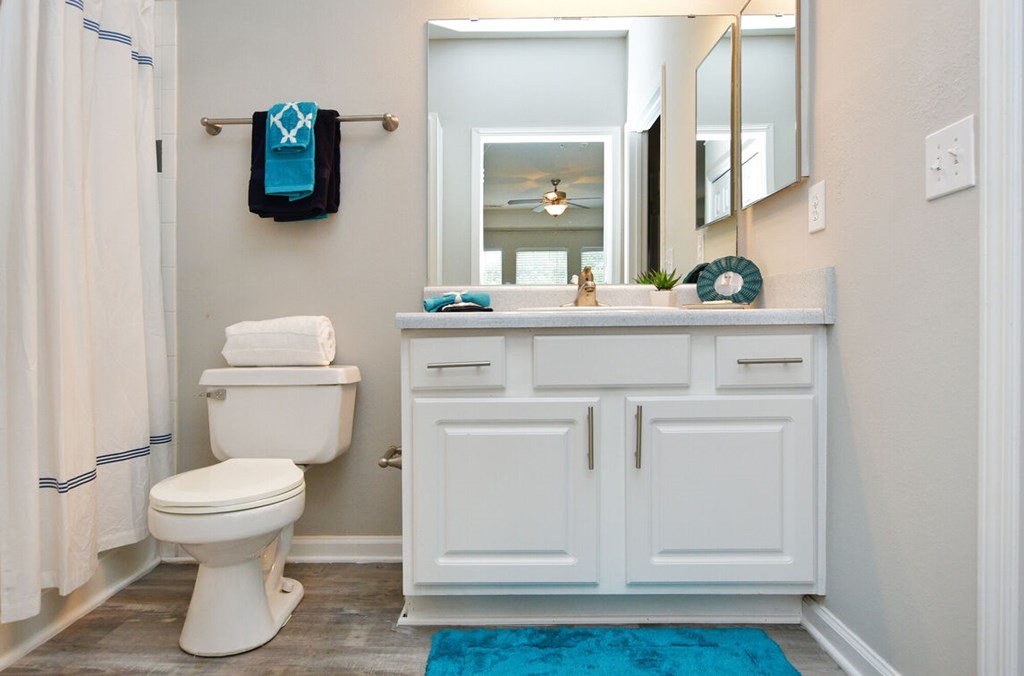 A white toilet sits next to a sink in a bathroom.at Braxton Woods Lake, South Carolina, 29607