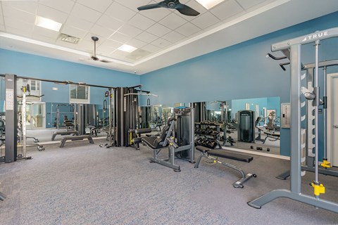 A gym with a variety of equipment including weights and machines. at The Banks at Bridgewater Apartments, Little River, SC, 29566