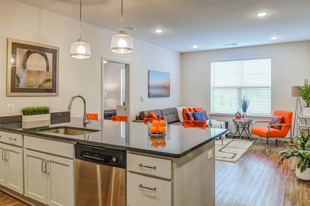 Kitchen And Living Area at Riverside Flats at Aberfoyle Village, Belmont, NC