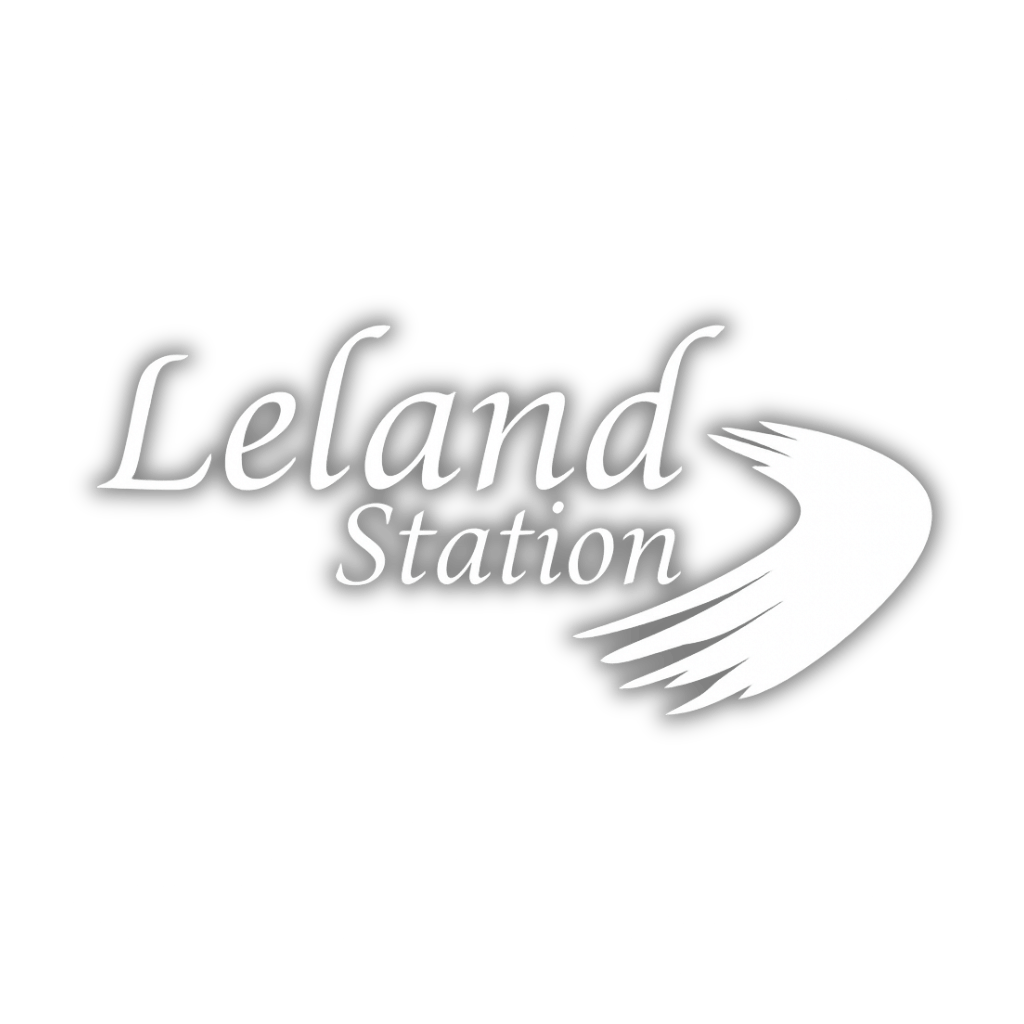 A logo with the words "Leland Station" and a stylized wing.