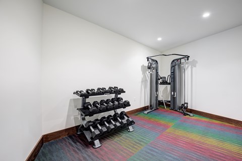 A gym with a weight rack and a row of dumbbells.