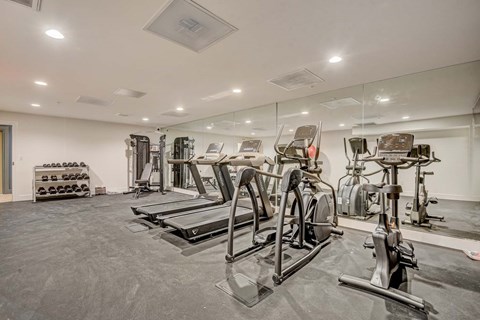 A gym with treadmills, exercise bikes, and dumbbells.